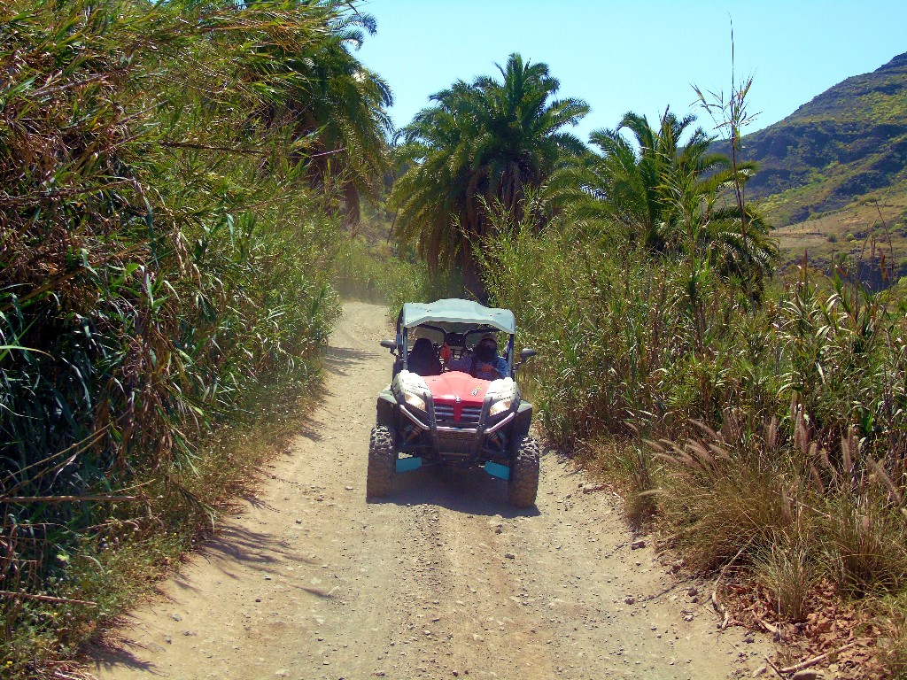 buggy tour playa del ingles